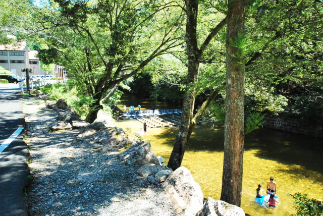 愛知県民の森でキャンプ